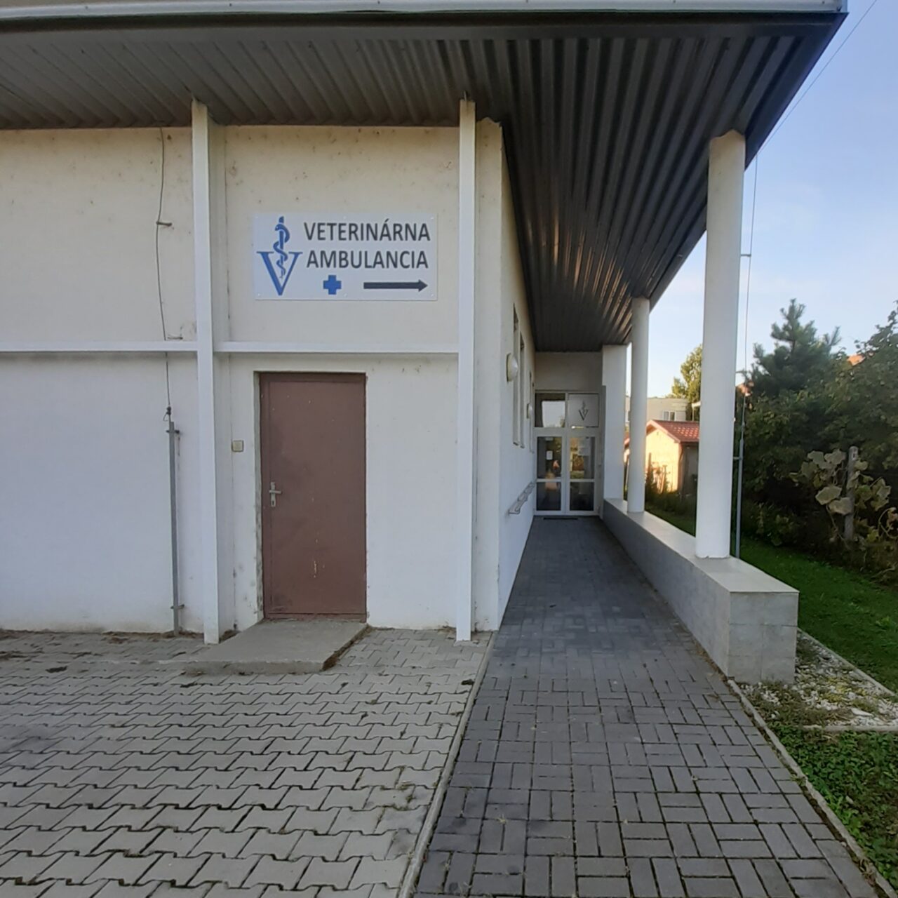 Dudincevet